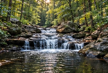 Scenic creek placeholder photograph